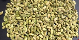 خواص و فواید هل برای بدن انسان