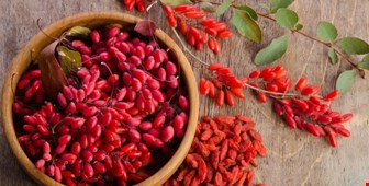 بربرین موجود در زرشک چیست؟